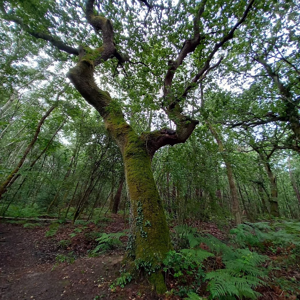Sentier de la Berle 3